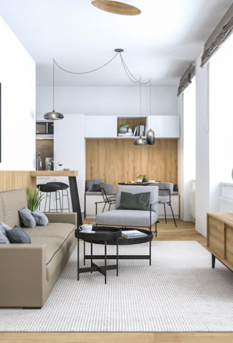 Návrh interiéru a realizace interiéru - Obývací pokoje - 3