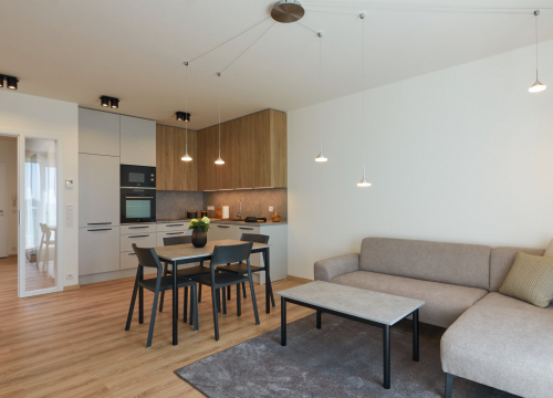 Realizace interiéru - Realizace interiéru obývacího pokoje s kuchyňským koutem Vila Park byt IV - 3