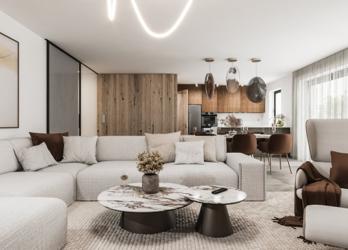 Návrh interiéru - Obývací pokoje - 7